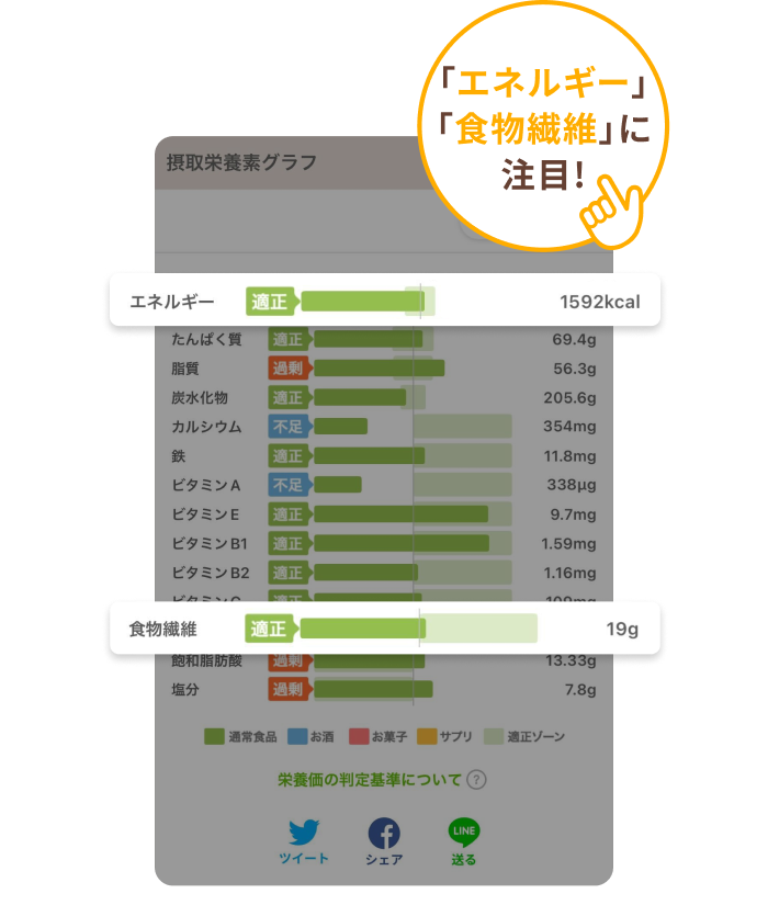 「エネルギー」「食物繊維」に注目！